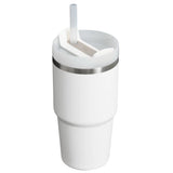 NEW Stanley 20 oz. Quencher H2.0 FlowState Tumbler - FROST